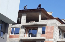 19-trudovi-zlopoluki-stanaha-plovdiv-451.png