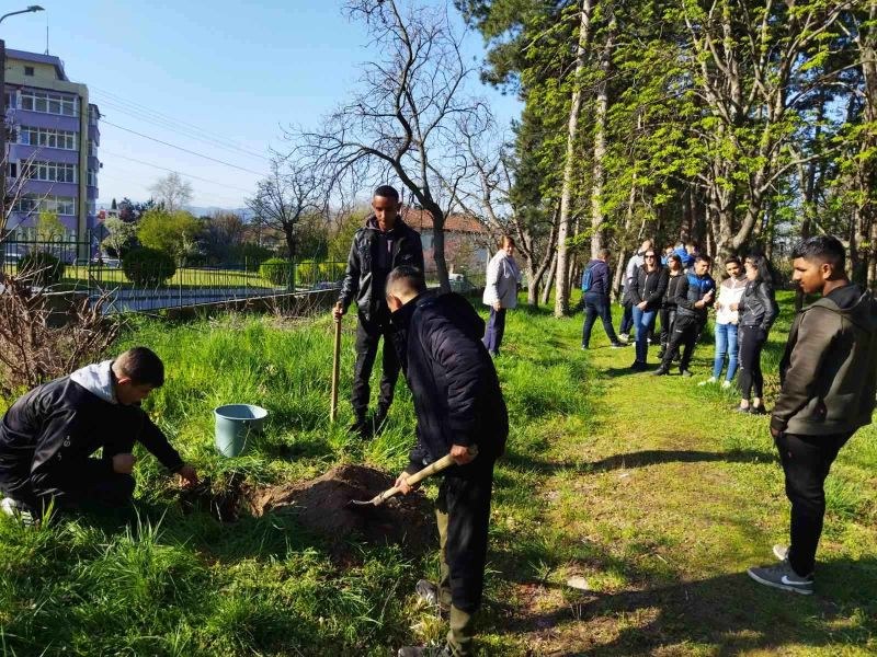 Гимназисти от Карлово засадиха дръвчета по случай Деня на Земята