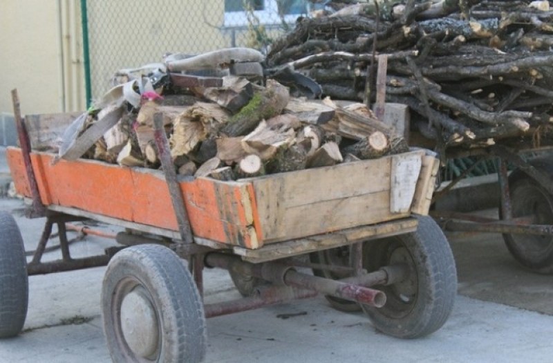 Хванаха двама с цяла каруца незаконни дърва край Калояново