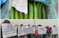 samo-tri-mesetsa-zelenchutsite-679.jpg
