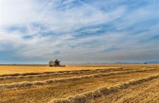 tonovepshenitsa-blokirani-ukraina-oon-269.jpg