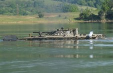 1000-voennosluzheshti-karlovskata-817.jpg