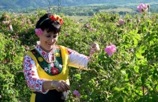 praznikat-rozata-zapochna-otkriha-297.jpg