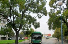 praznichno-razpisanie-avtobusite-utre-077.jpg