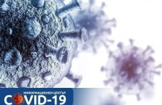 13-novozarazeni-koronavirus-plovdivsko-260.jpg