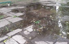 plovdivchani-plashtat-dvoini-smetki-971.jpg