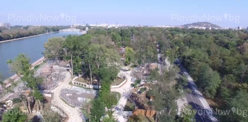 Разпоредиха нова експертиза за зоопарка в Пловдив