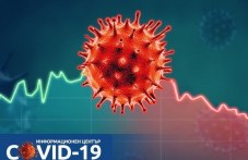 5-novi-sluchaia-koronavirus-plovdivsko-194.jpg