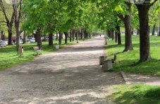 chetvartak-plovdiv-shte-se-reduvat-464.jpg