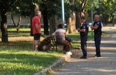 Нова хайка на полицията в парк „Рибница” - глобяват наред неизрядни стопани на кучета