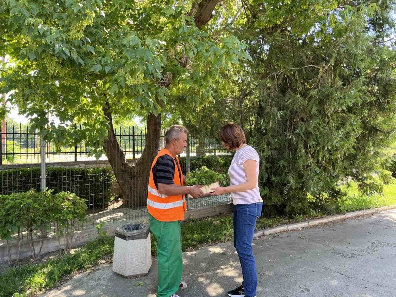 Хиляди летни цветя ще красят дворовете на градини и училища в Пловдив