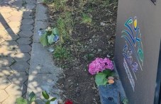 plovdivchanka-e-edna-zhertvite-289.jpg