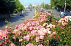 predimno-slanchev-i-po-topal-petak-134.jpg