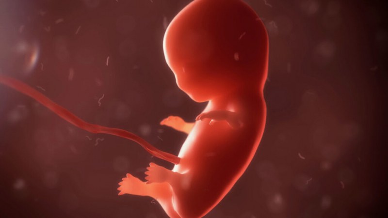 Почти една България се оказва неродена, 6 млн. аборти за 65 години