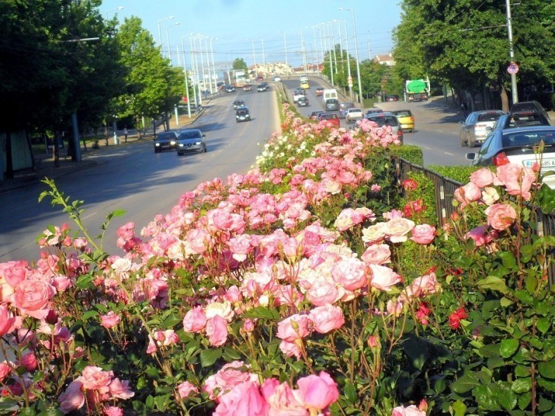 Седмицата започва с жега, но с 2-3 градуса по-ниски температури в сравнения с уикенда
