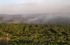 Огнена стихия край Калояново, пожарникари и доброволци се включиха в гасенето