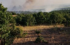 Пожарът край Калояново е загасен, три екипа следят обстановката