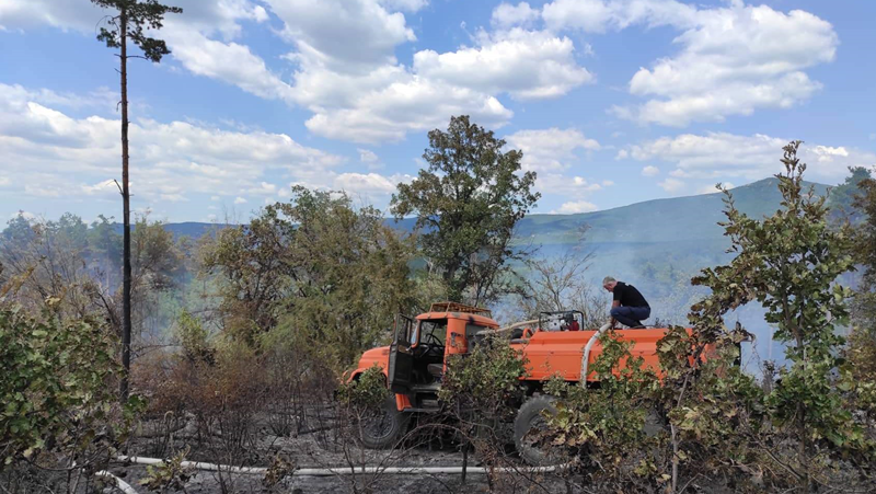 Пожарът в Калояновско е потушен след три дни борба