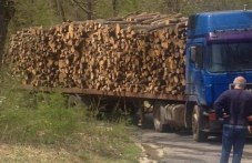 nelegalna-darvesina-konfiskuvaha-firmen-454.jpg