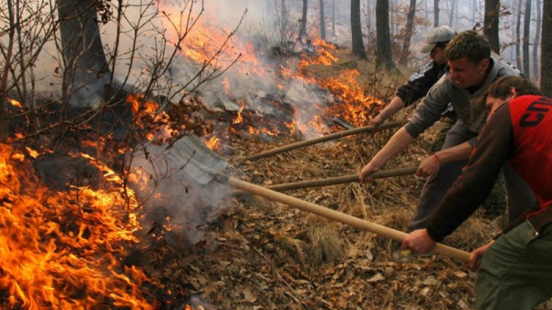 Пожар край Карлово! Половин декар гора е изпепелена