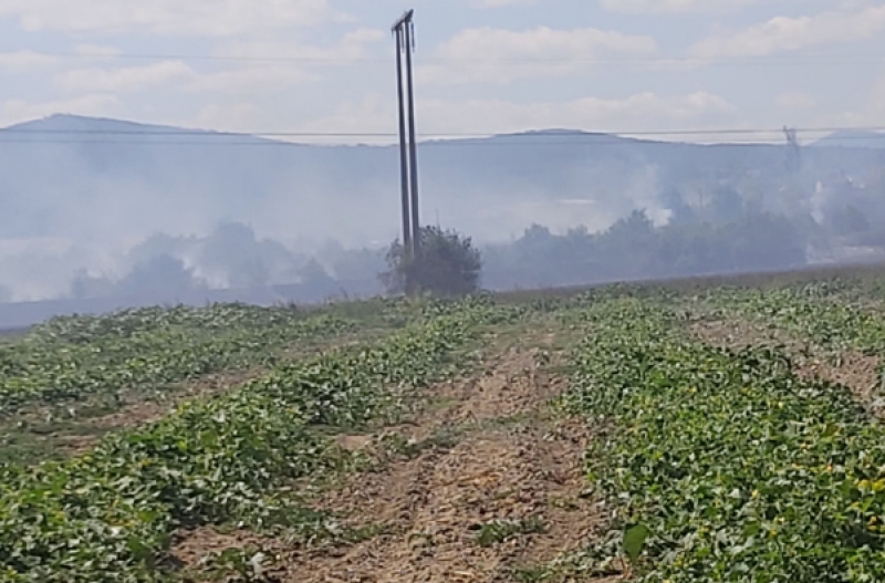 Пожар пламна край Калояново, стигна до главния път за Карлово