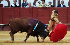 portugaliia-otbeliazva-denia-koridata-548.jpg
