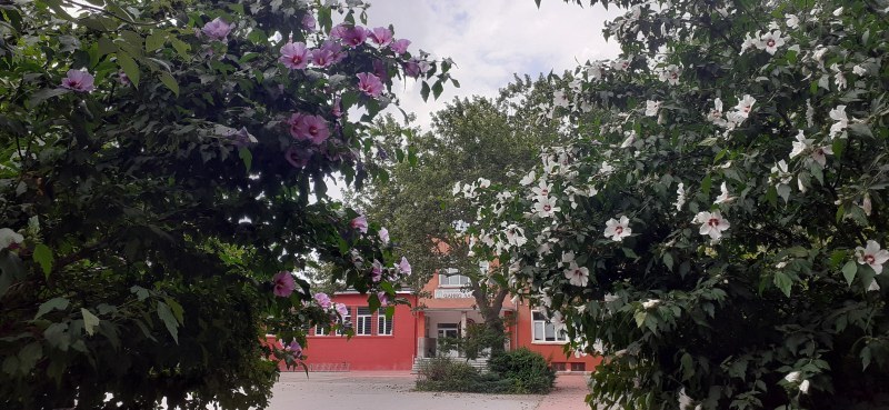 Художествената гимназия в Пловдив организира международен пленер “Споделено в цвят“.