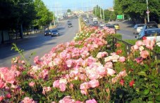 chetvartak-plovdiv-slanchev-iasen-i-po-528.jpg