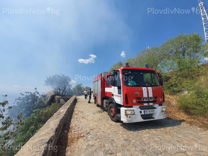 Пожарни и екипи на „Градини и паркове” гасят пожара на Младежкия хълм