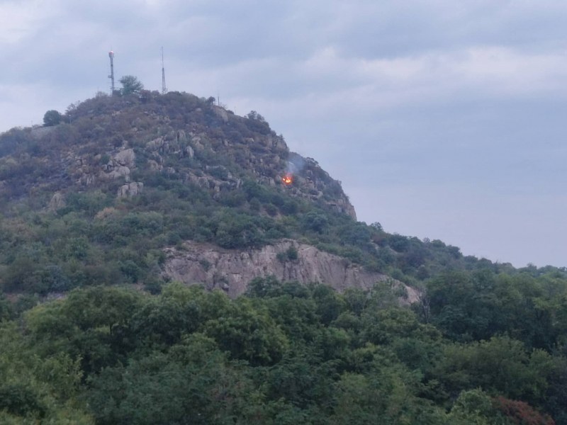 Младежкият хълм отново гори