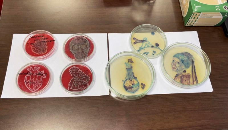 Уникални рисунки на микроби показва МУ-Пловдив в Нощта на учените