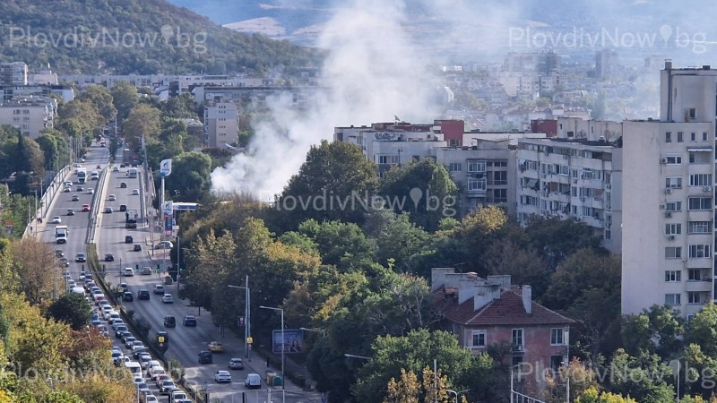 Пожар пламна в Пловдив, запалиха се сухи треви