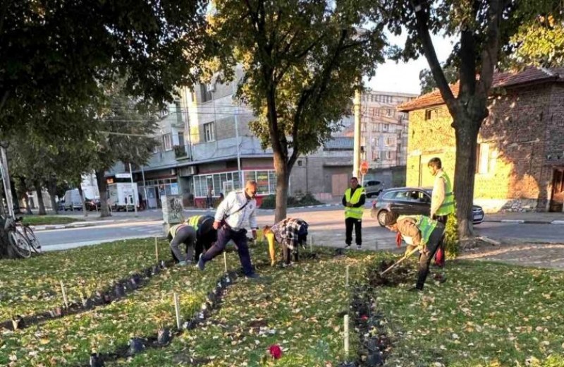 Уникален парк правят в Стамболийски, ще бъде готов за деня на влюбените