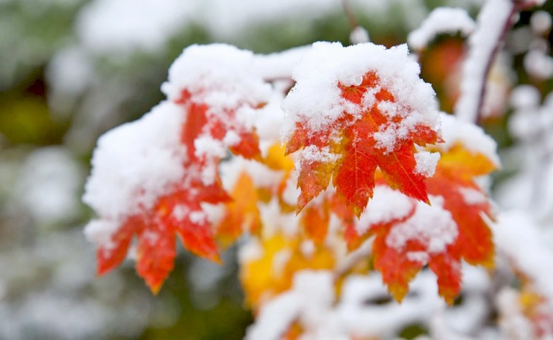 Синоптик: Ноември ще започне със слънце, но ще продължи с дъжд и сняг