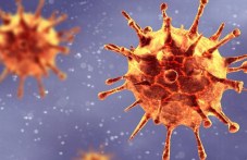 5-novi-sluchaia-koronavirus-plovdivsko-573.jpg