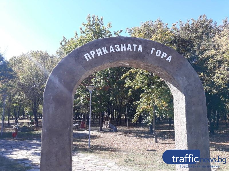 Страховито парти в приказната гора ще има в Раковски