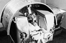 na-tozi-den-kucheto-laika-polita-kosmosa-063.jpg