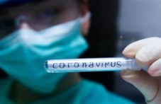 8-novi-sluchaia-koronavirus-plovdivsko-334.jpg