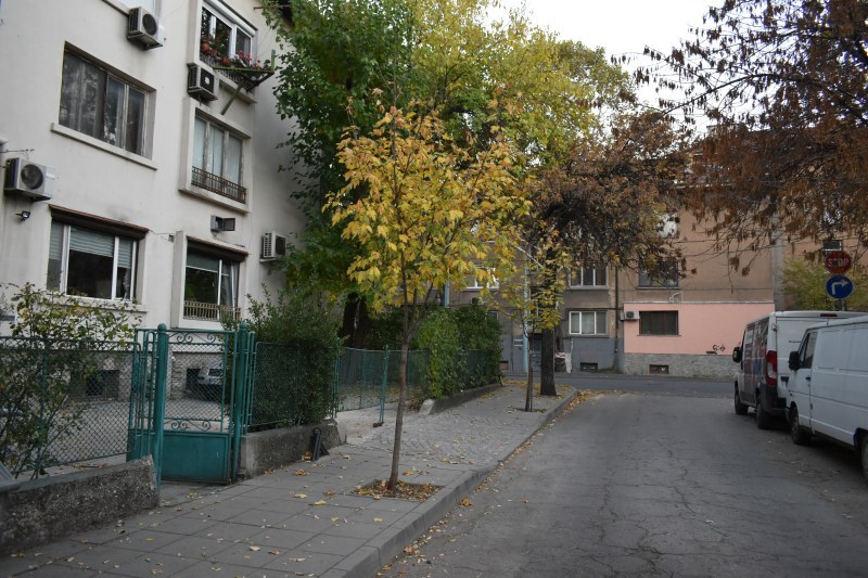 Експертният съвет по озеленявате бойкотира Община Пловдив, властта отрича да има конфликт