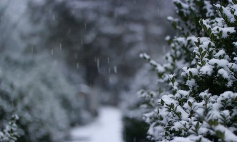Синоптик обясни кога ще дойде истинската зима - със студ и сняг
