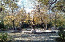 vtornik-plovdiv-reduvat-se-oblatsi-i-952.jpg