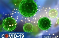 1-nov-sluchai-koronavirus-plovdiv-niama-323.jpg