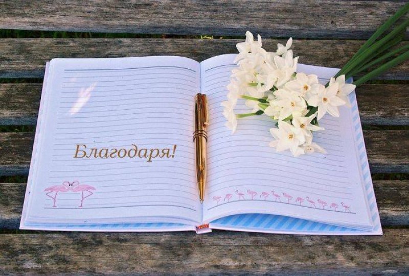 Благодарността ни прави по-щастливи, по-духовни и по-щедри