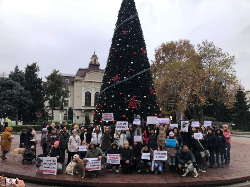 Природозащитници отново протестират в Пловдив срещу насилието на животни