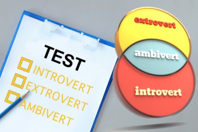 Интроверт, екстроверт или амбиверт - кой тип човек сте