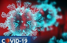 3-novi-sluchaia-koronavirus-plovdiv-bez-035.jpg