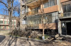 darvo-padna-varhu-peika-plovdiv-detsa-837.jpg