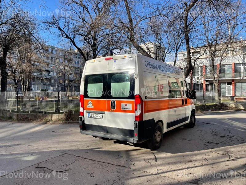 След падането на дърво в Пловдив: Четвърто дете е прието в болница