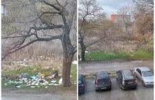 ulitsa-plovdiv-tane-mizeriia-shofyori-519.jpg