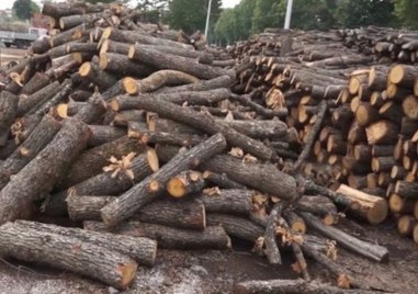 Незаконни дърва откриха в имот в Йоаким Груево